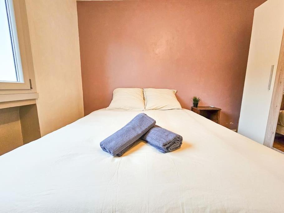 Le Bergson 3 Chambres Stationnement Gratuit Saint-Etienne  Bagian luar foto