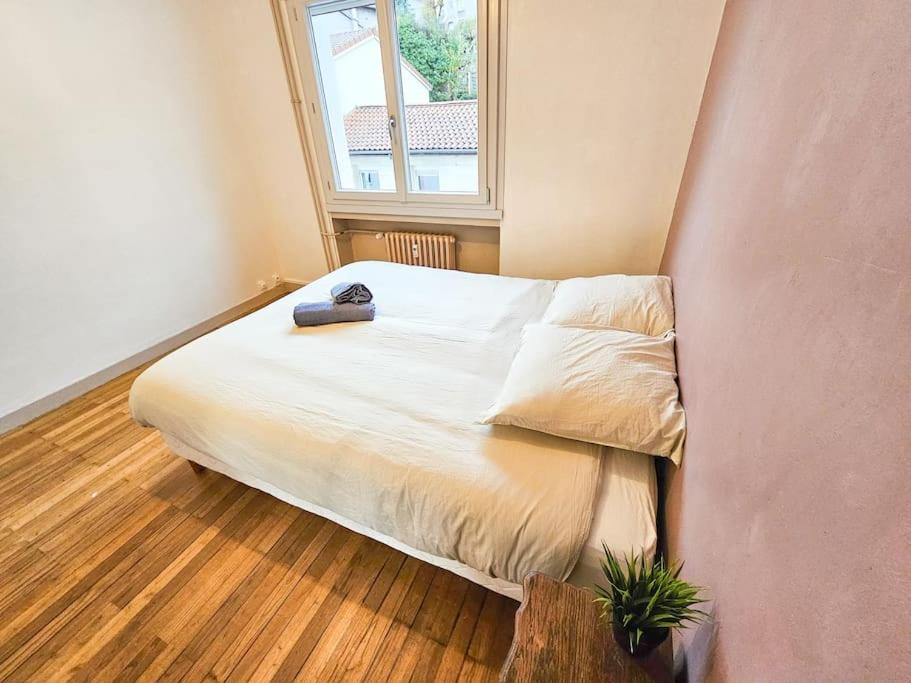 Le Bergson 3 Chambres Stationnement Gratuit Saint-Etienne  Bagian luar foto